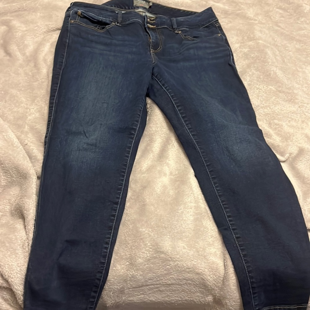 Torrid jeggings